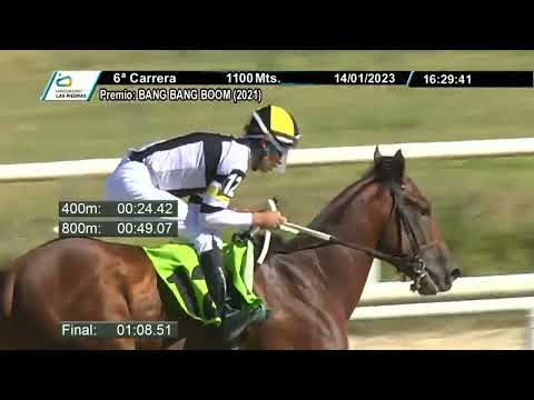 230114 c06 - LINDOLFO - HIPODROMO LAS PIEDRAS