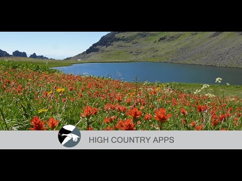 Oregon Wildflowers Video