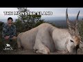 The Monster Eland John X Safaris