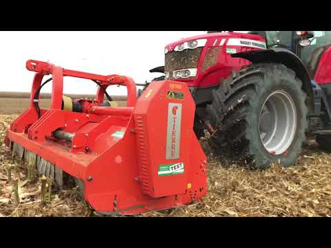 Pantera e TCL Pro 230