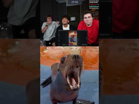 Bro spilled water on Steak's monitor 😂