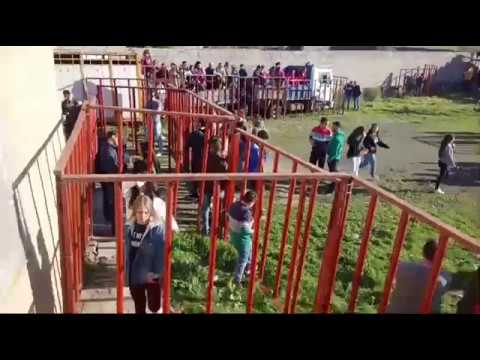 Vaquillas de San Antón - Directo