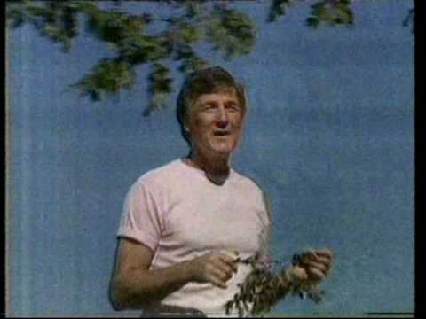 Col Joye's 20 Most Requested Songs (Australian ad) 1984