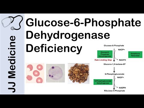 Glucose-6-Phosphate Dehydrogenase Deficiency | Symptoms, Pathophysiology, Diagnosis and Treatment