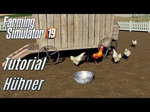 LS19: Chicken Tutorial - for beginners