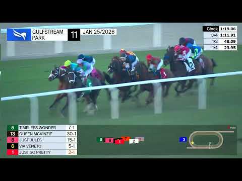 Gulfstream Park January 25, 2026 Race 11