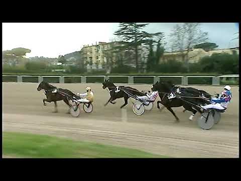 Trotto 01/12/2020 - 4ª corsa