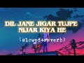 Dil Jaane Jigar Tujhpe Nisaar Kiya Hai (slowed+reverb)