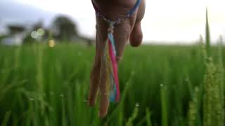 Musica Relaxante | Relax Music | Calmante para Mente e Espirito|#0042#