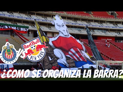 "EL TIFO DE CHIVAS - LES MUESTRO LA ORGANIZACIÓN DESDE LA CANCHA DEL ESTADIO AKRON CHIVAS VS NEW YOR" Barra: La Irreverente &bull; Club: Chivas Guadalajara