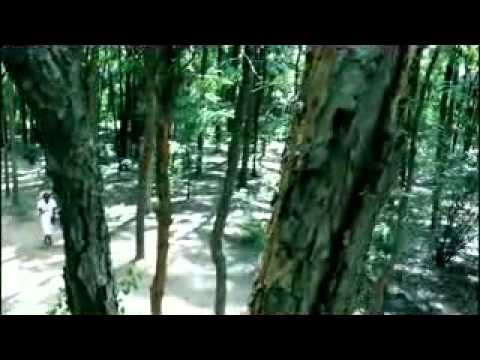 Macdee ft Xtra large - Chido chemoyo