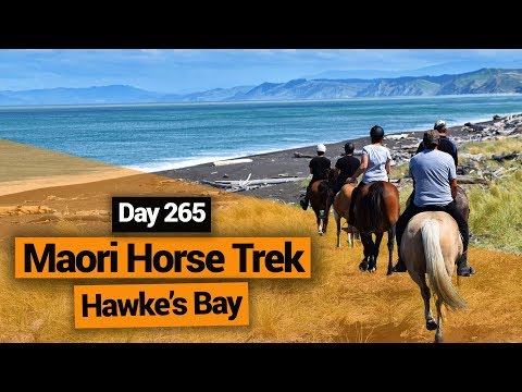🐴 Maori Horse Trekking Tour in the North Island – New Zealand's Biggest Gap Year Video