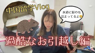 中国留学Vlog🇨🇳引越しがあまりにも過酷過ぎた件