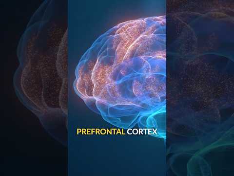The Neuroscience of Procrastination 🧠