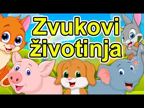 Zvukovi životinja - Dečija pesma o životinjama | Kako kažu životinje | Zvuci životinja | Animals
