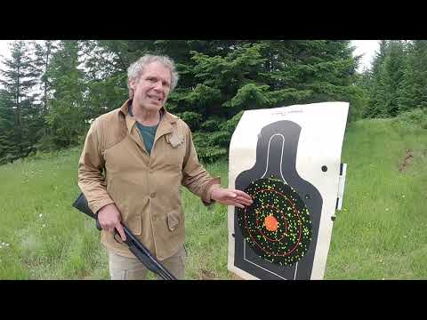 Taurus Judge Review