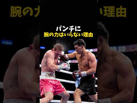 パンチに腕に力はいらない理由 #格闘技 #ボクシング #ufc #rizin