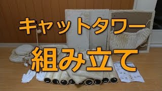 ねこを飼う(キャットタワー)