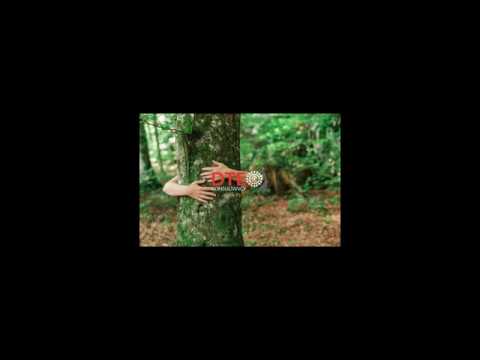 Being in Green:  Be a part of nature with this tree hugging visualisation