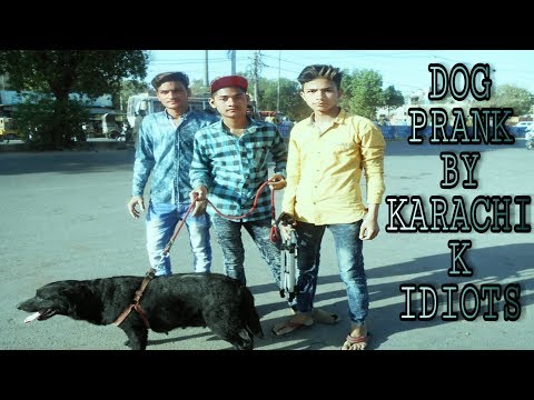 DOG PRANK BY (KARACHI K IDIOTS)