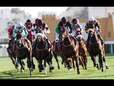 35th Race Meeting OF Season 2018 / 2019