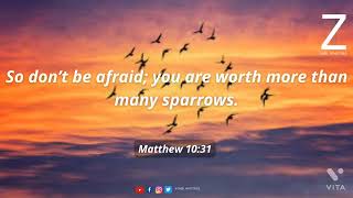 Matthew 10:31 | Zabel Ministries | Bible verse of the day | Message and Prayer #joy #believe #enjoy