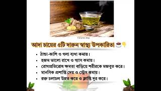আদা চায়ের ৫টি দারুণ স্বাস্থ্য উপকারিতা | Ginger Tea Health Benefits Bangla | Health Tips BD
