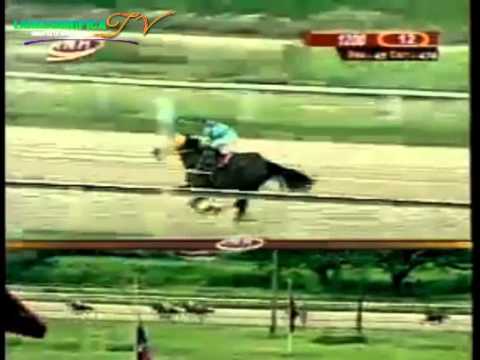 VALENCIA 12 CARRERA VIERNES 05 DE SEPTIEMBRE DEL 2014