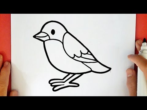 COMMENT DESSINER UN OISEAU