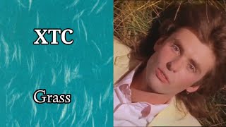 XTC - Grass (Official Video)