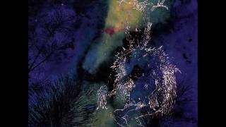 Bardo Pond New Album 2017 "Under the Pines"