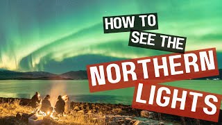 Your Northern Lights Guide | Aurora Borealis | Tromso | 4k