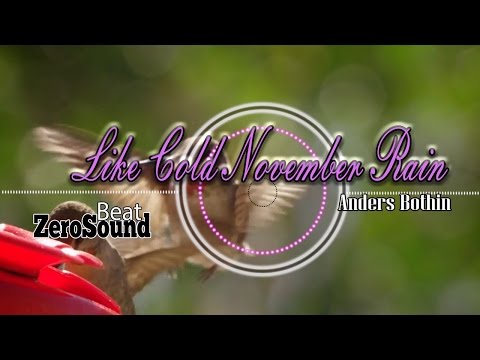 Like Cold November Rain - Anders Bothén