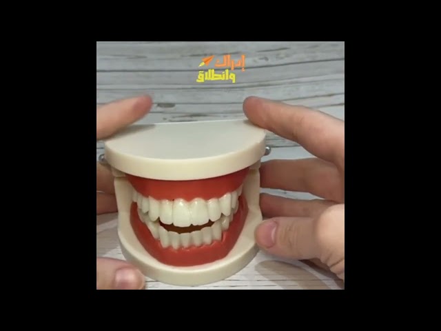 حقيبة رحلة طفل مستقل