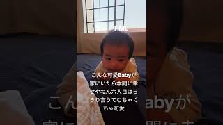 #ロサンゼルス #赤ちゃんのいる生活 #海外在住ママ #完全母乳#大家族#6人目