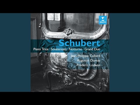 Piano Trio No. 1 in B-Flat Major, Op. 99, D. 898: II. Andante un poco mosso