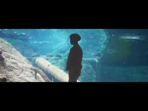 Raveen - Always [Official Video]