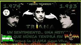 TRIANA - AROMA FRESCO