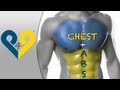 15:46 Chest + Abs MEGA workout "No music ...