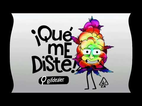 Somos Marihuanos - Charly García (GloneD)