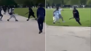 video: Hyde Park attack: horror scene as machete-wielding gang stabs young man