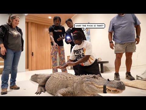 This Was A Terrible Idea!