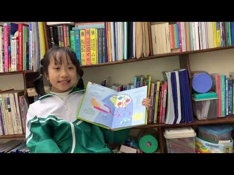 Naly_100 coisas sobre comida_topic 3+4