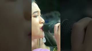 Download lagu selendang biru'e new palapa... all artis #dangdut #newpalapa mp3