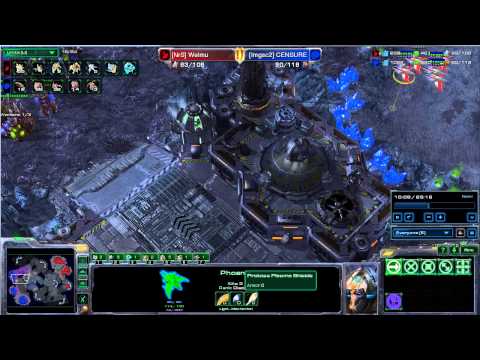 Welmu vs Censure (PvZ)