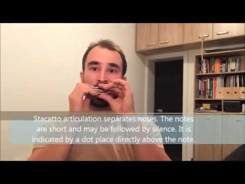 Juraj Schweigert - Harmonica Lesson: Articulation - Legato vs Stacatto