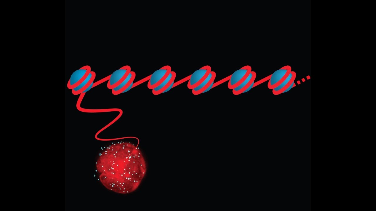 Gene regulation and the epigenome