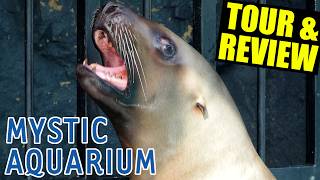 Mystic Aquarium (Connecticut) Tour & Review