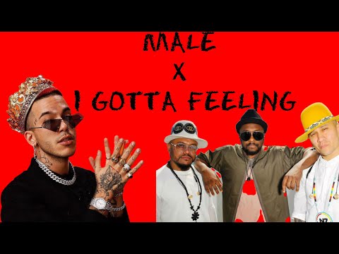 MALE x I GOTTA FEELING (Sfera Ebbasta, Black Eyed Peas
