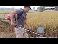 Mesin Pemotong Rumput Padi Matrix 4 TAK Test Drive Pemotongrumput